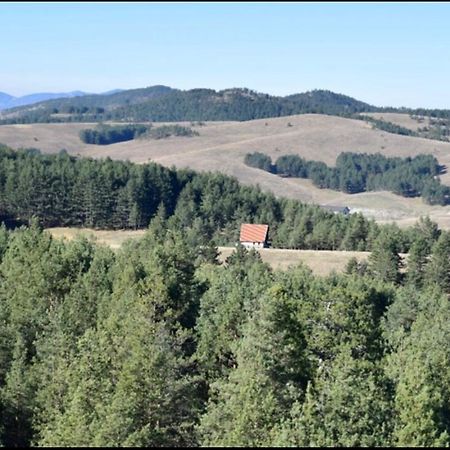 Ng Apartmani Tornik Zlatibor Kültér fotó