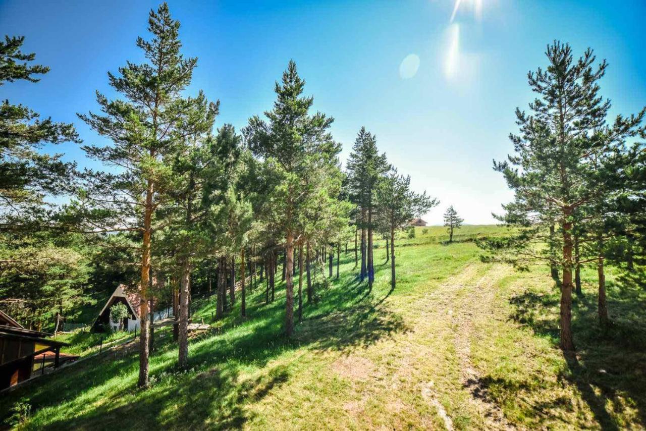 Ng Apartmani Tornik Zlatibor Kültér fotó