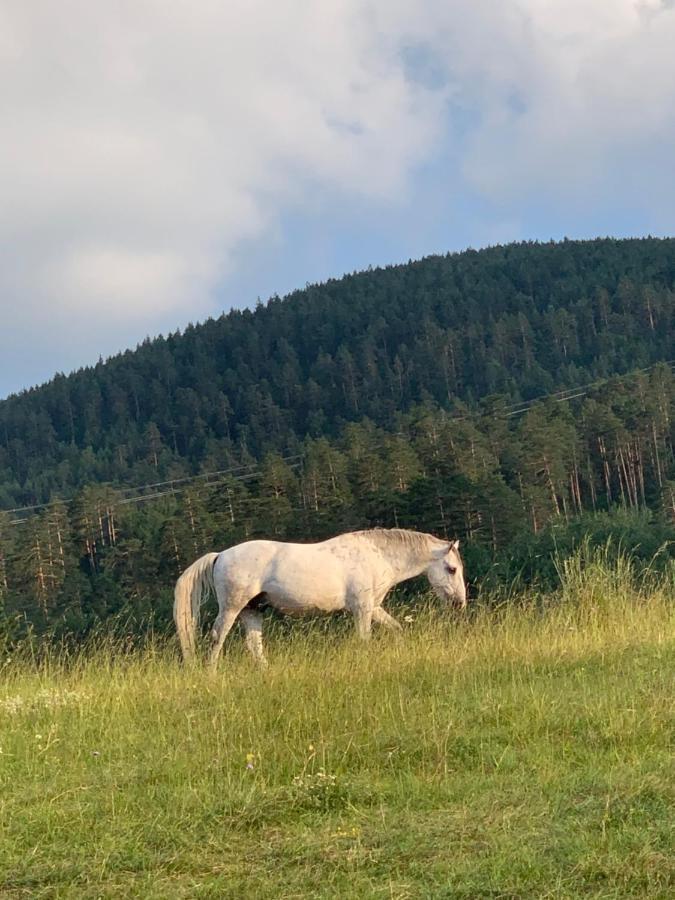 Ng Apartmani Tornik Zlatibor Kültér fotó