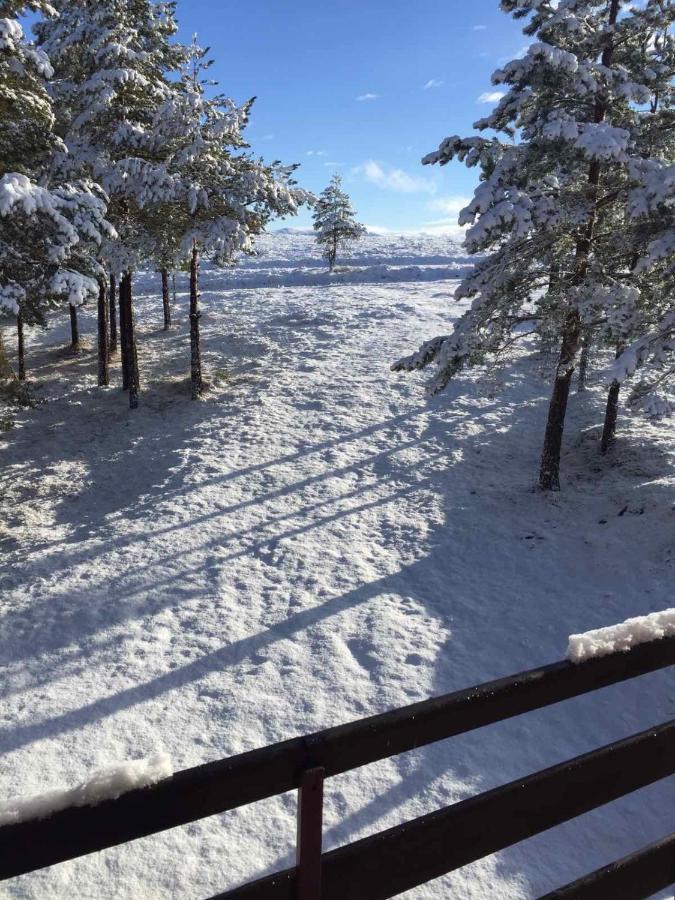 Ng Apartmani Tornik Zlatibor Kültér fotó