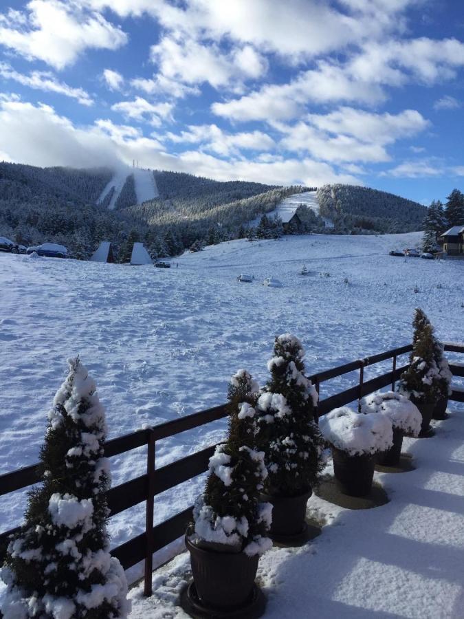 Ng Apartmani Tornik Zlatibor Kültér fotó