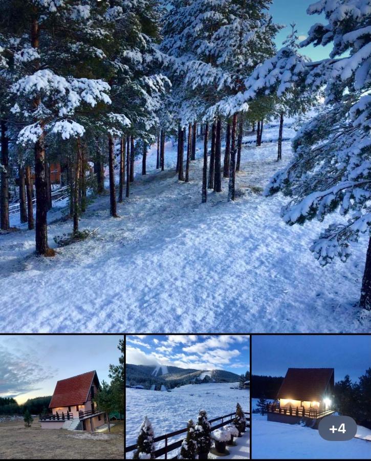 Ng Apartmani Tornik Zlatibor Kültér fotó