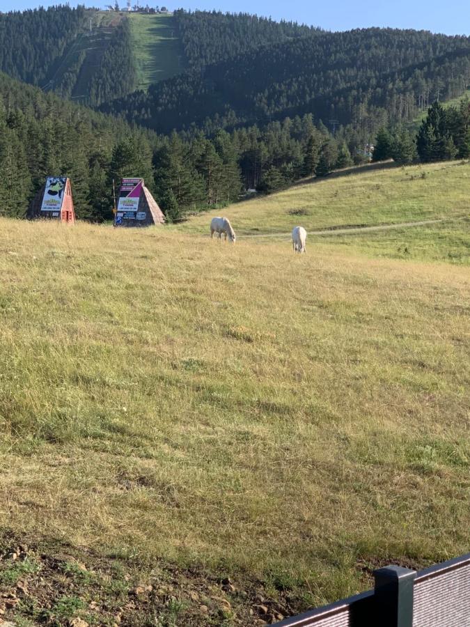 Ng Apartmani Tornik Zlatibor Kültér fotó
