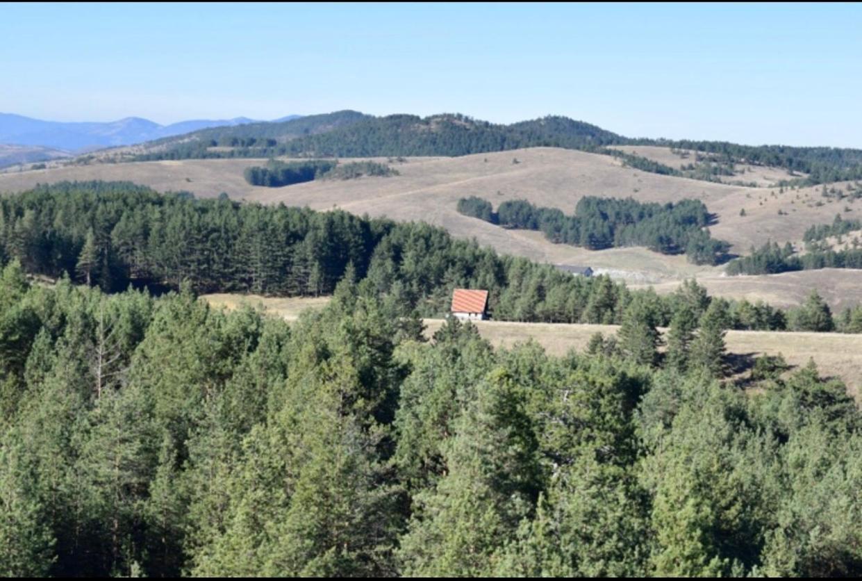 Ng Apartmani Tornik Zlatibor Kültér fotó
